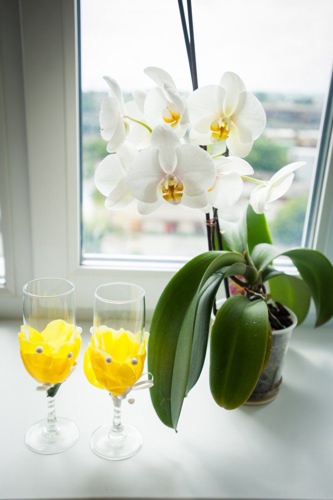 Организация свадеб&nbsp;Эйфория Праздника : 