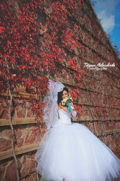 портфолио&nbsp;Свадебный фотограф : 