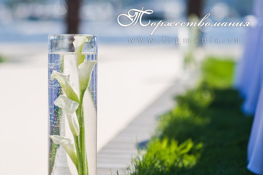 Выездная регистрация&nbsp;Студия декора "Торжествомания" : 