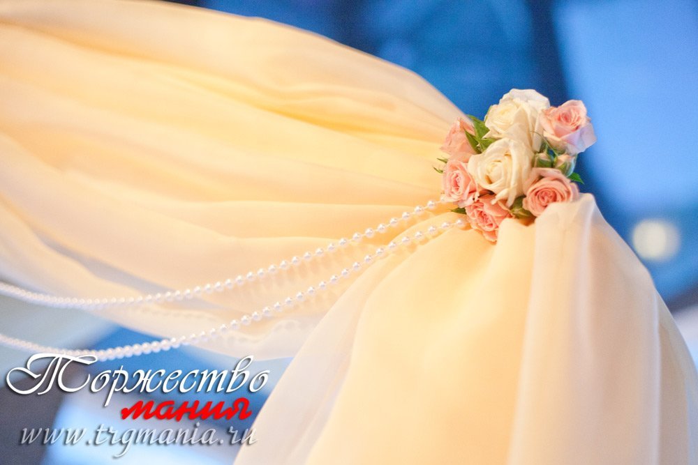 Выездная регистрация&nbsp;Студия декора "Торжествомания" : 