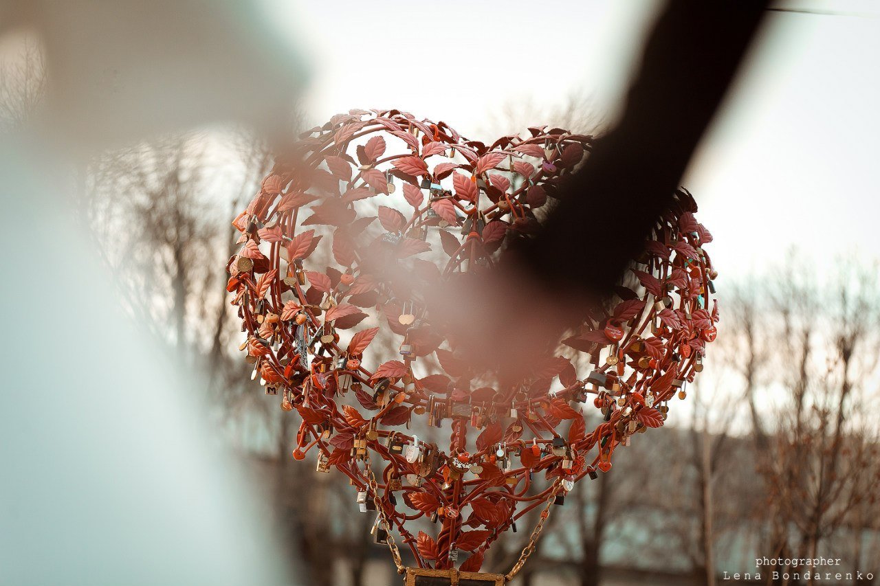 Свадебный фотограф Лена Бондаренко&nbsp;Свадебный фотограф Лена Бондаренко : 