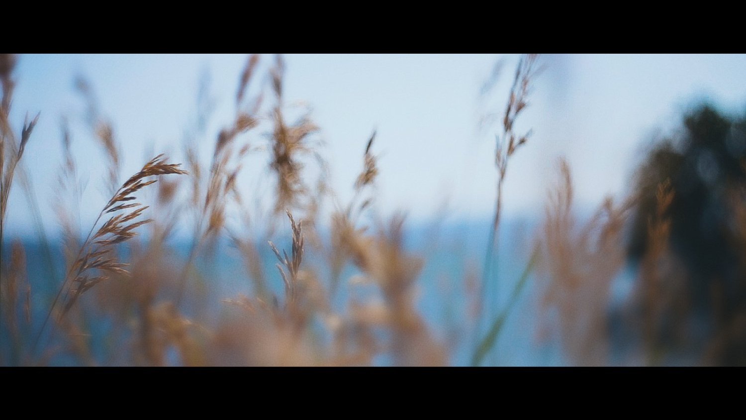 Кадры&nbsp;Макс Игнатов : 