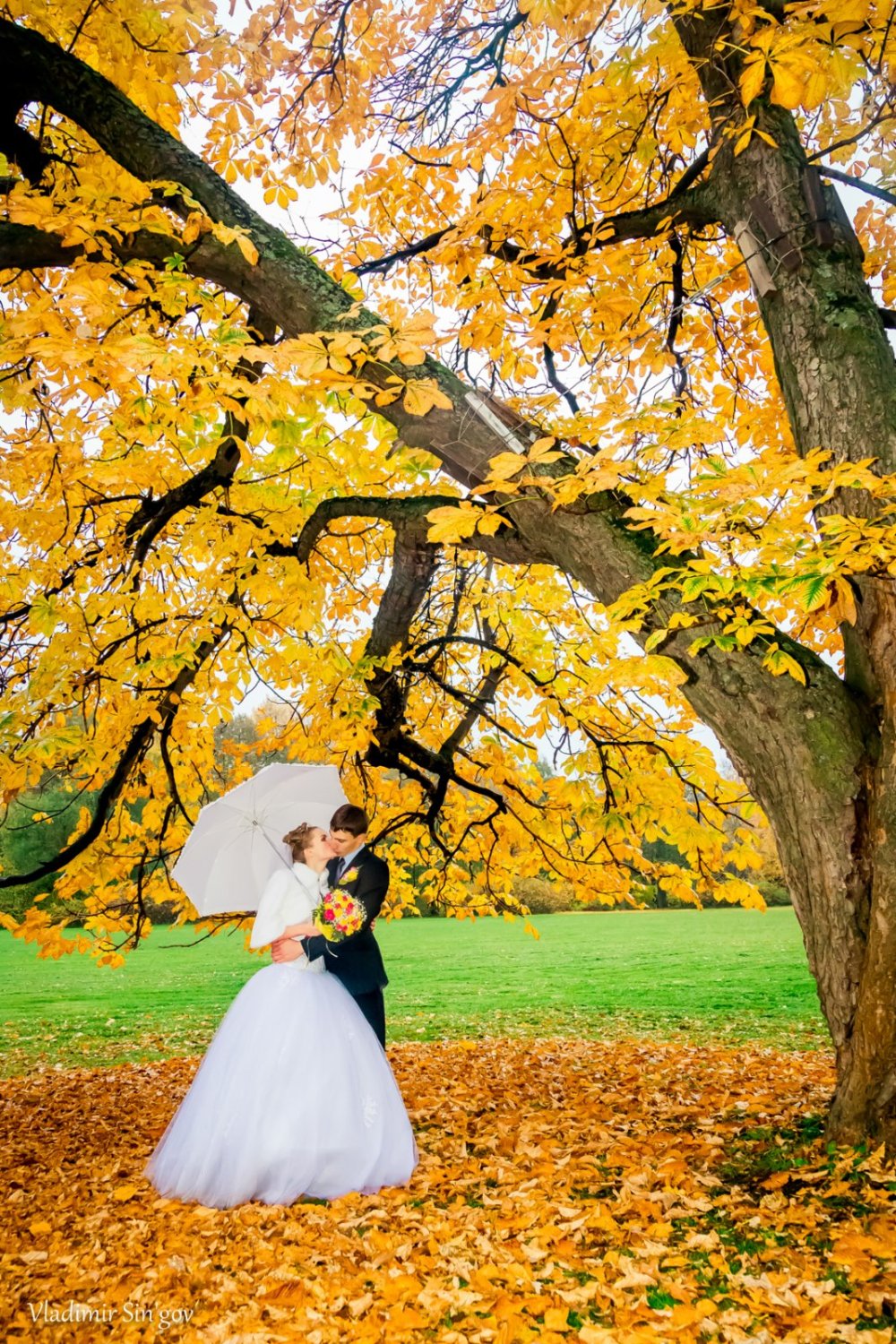 Фото в новой обработке 2013 года&nbsp;Фотограф на Свадьбу Владимир Синьгов : 