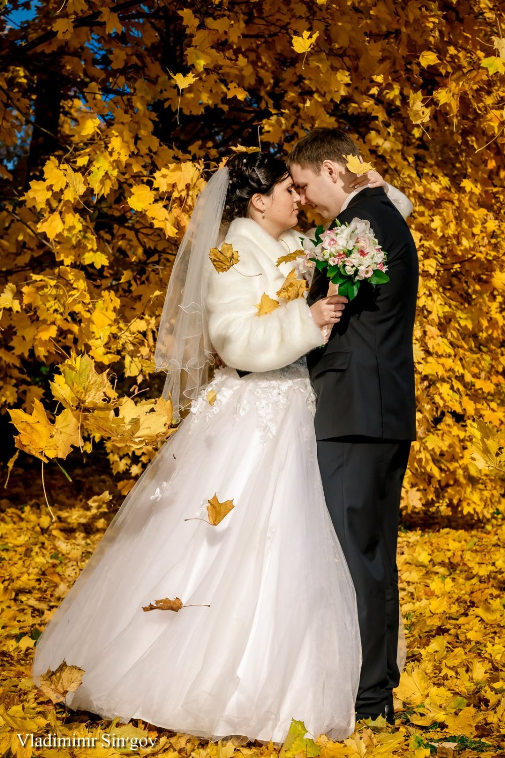 Фото в новой обработке 2013 года&nbsp;Фотограф на Свадьбу Владимир Синьгов : 