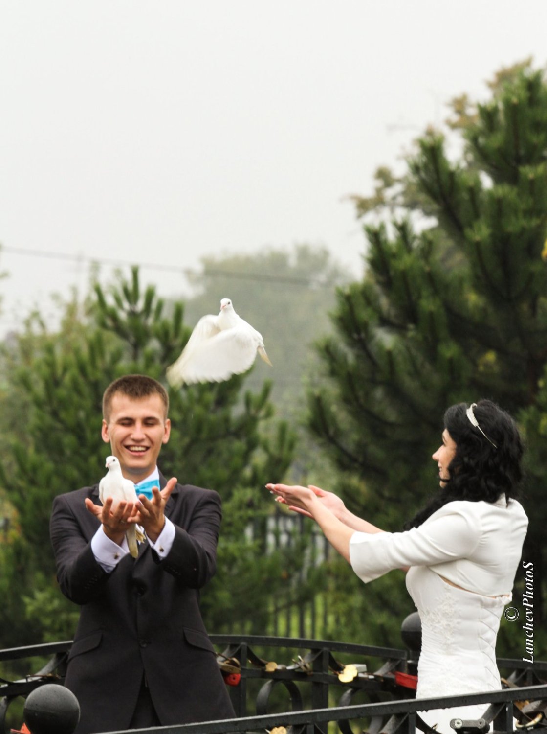 Портфолио&nbsp;Мария Ланчева : 