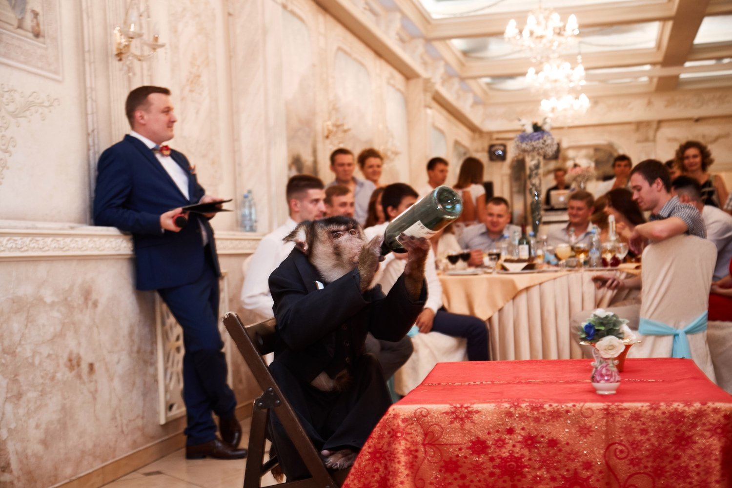 Портфолио ведущего Сергея Рябинина&nbsp;Ведущий Сергей Рябинин : 