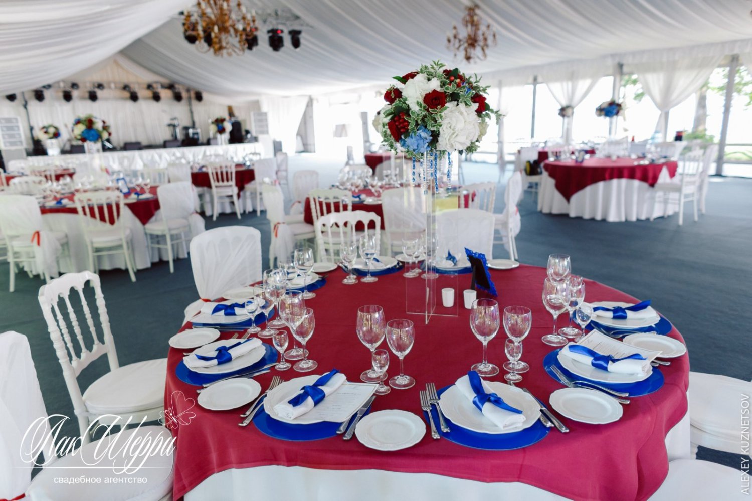 Красные ягоды на синем бархате Ильи и Дианы&nbsp;Свадебное агентство "ЛакШерри" : 