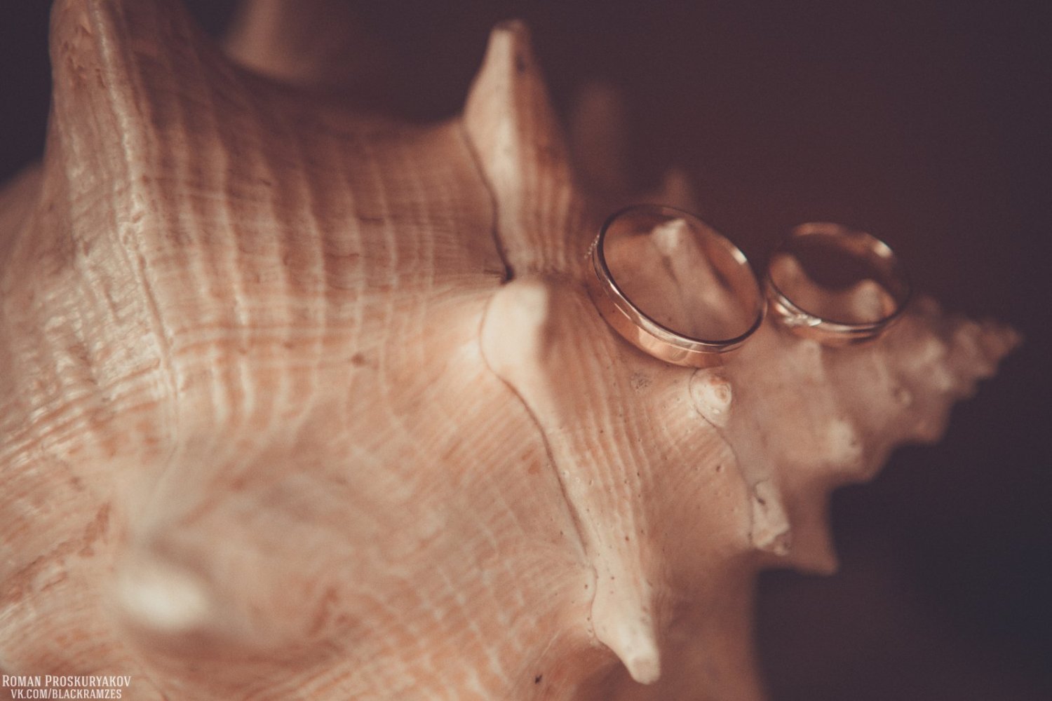 Свадебное Портфолио&nbsp;Фотограф Роман Проскуряков : 