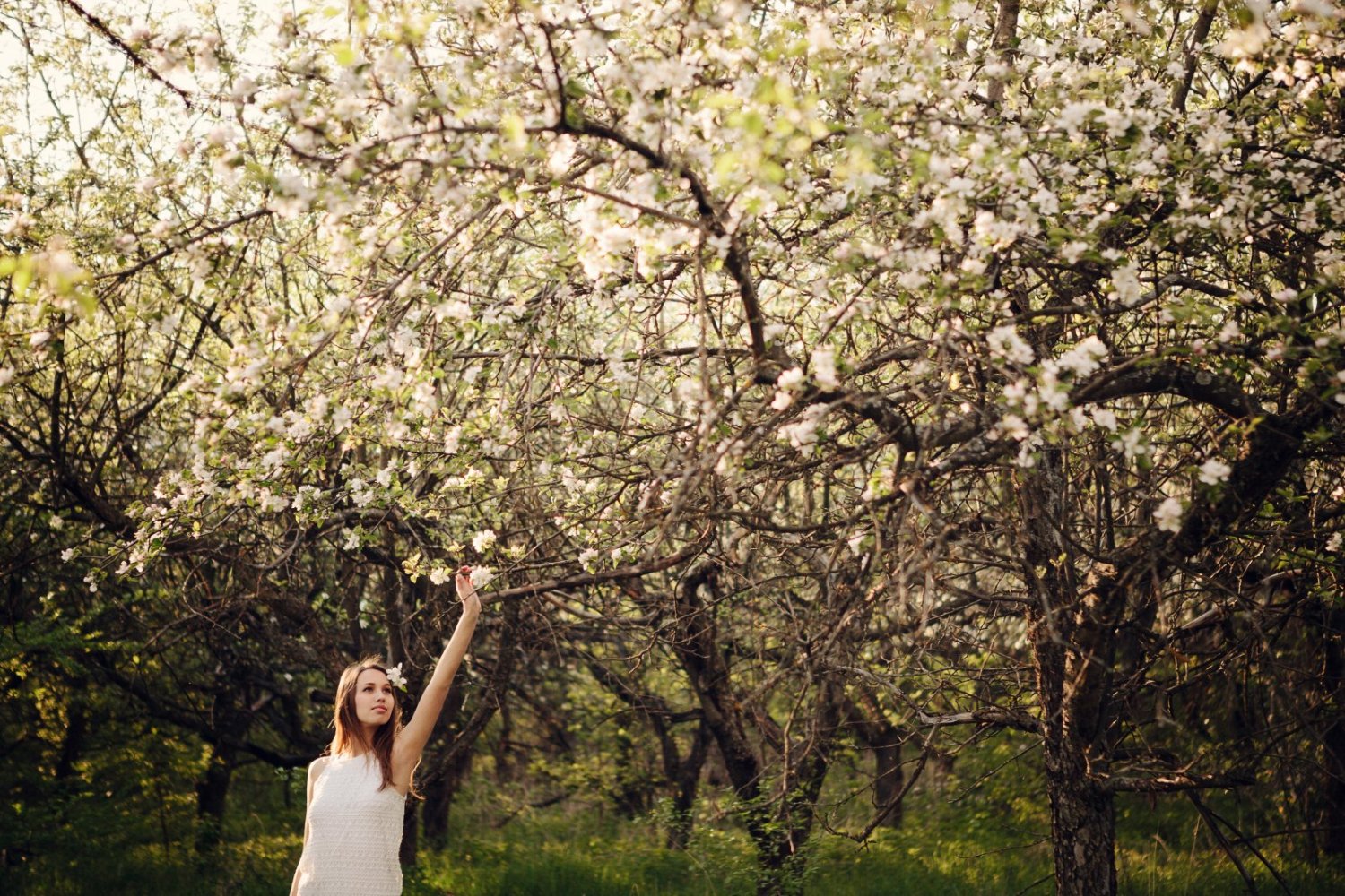 Конкурсный альбом&nbsp;Фотограф Роман Проскуряков : 
