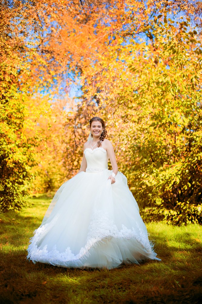 Фотоальбом&nbsp;Фотограф Олег Величко : 