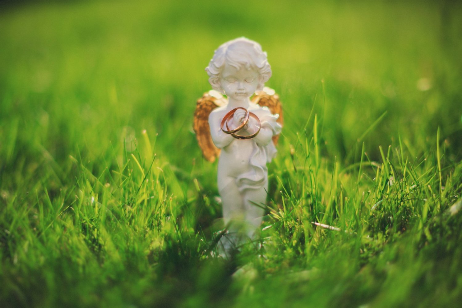 Фотоальбом&nbsp;Свадебный фотограф Илья Соснин : 