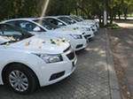 Свадебные кортежи от "Престиж плюс"&nbsp;Престиж плюс : 