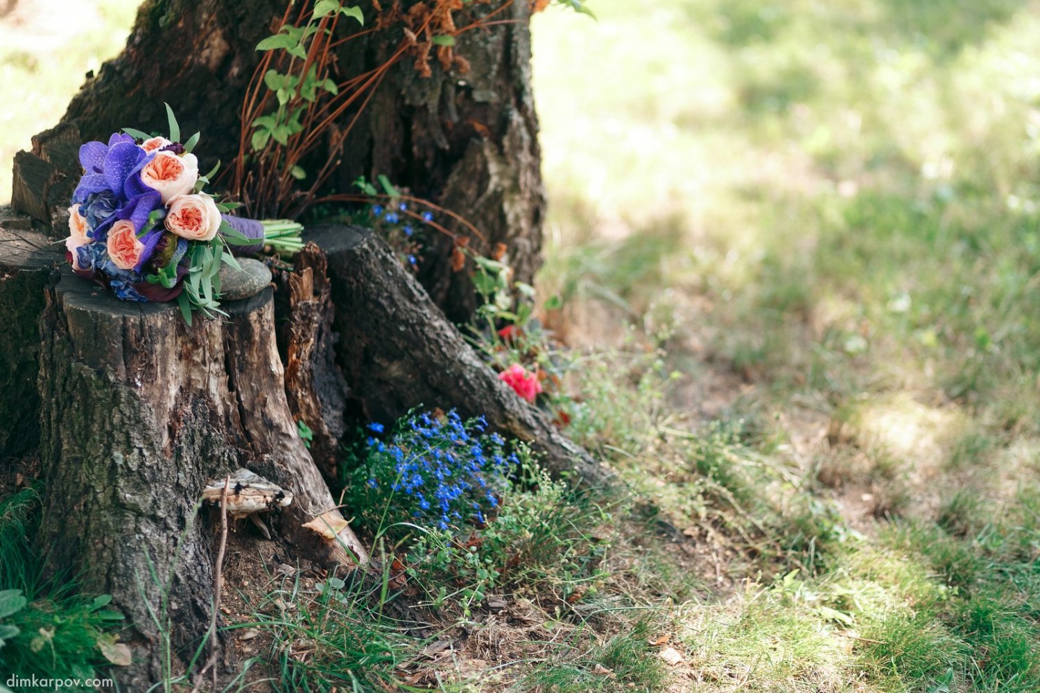 Волшебство фиолетового&nbsp;Marry Marry : 