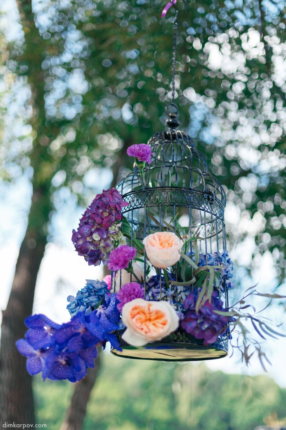 Волшебство фиолетового&nbsp;Marry Marry : 