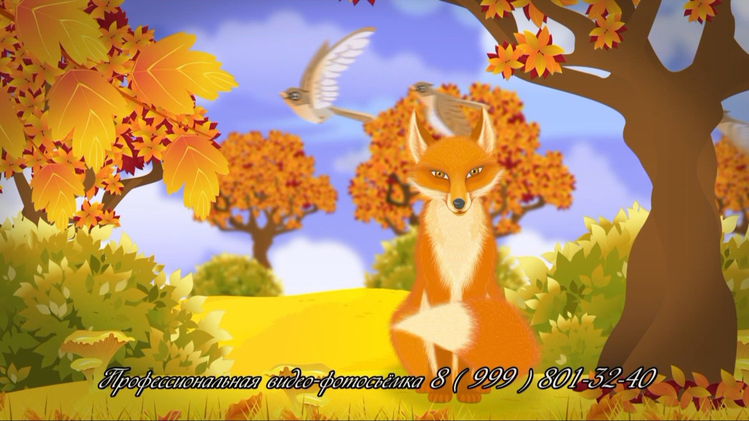 Фотоальбом&nbsp;видеостудия «Надежда» : 