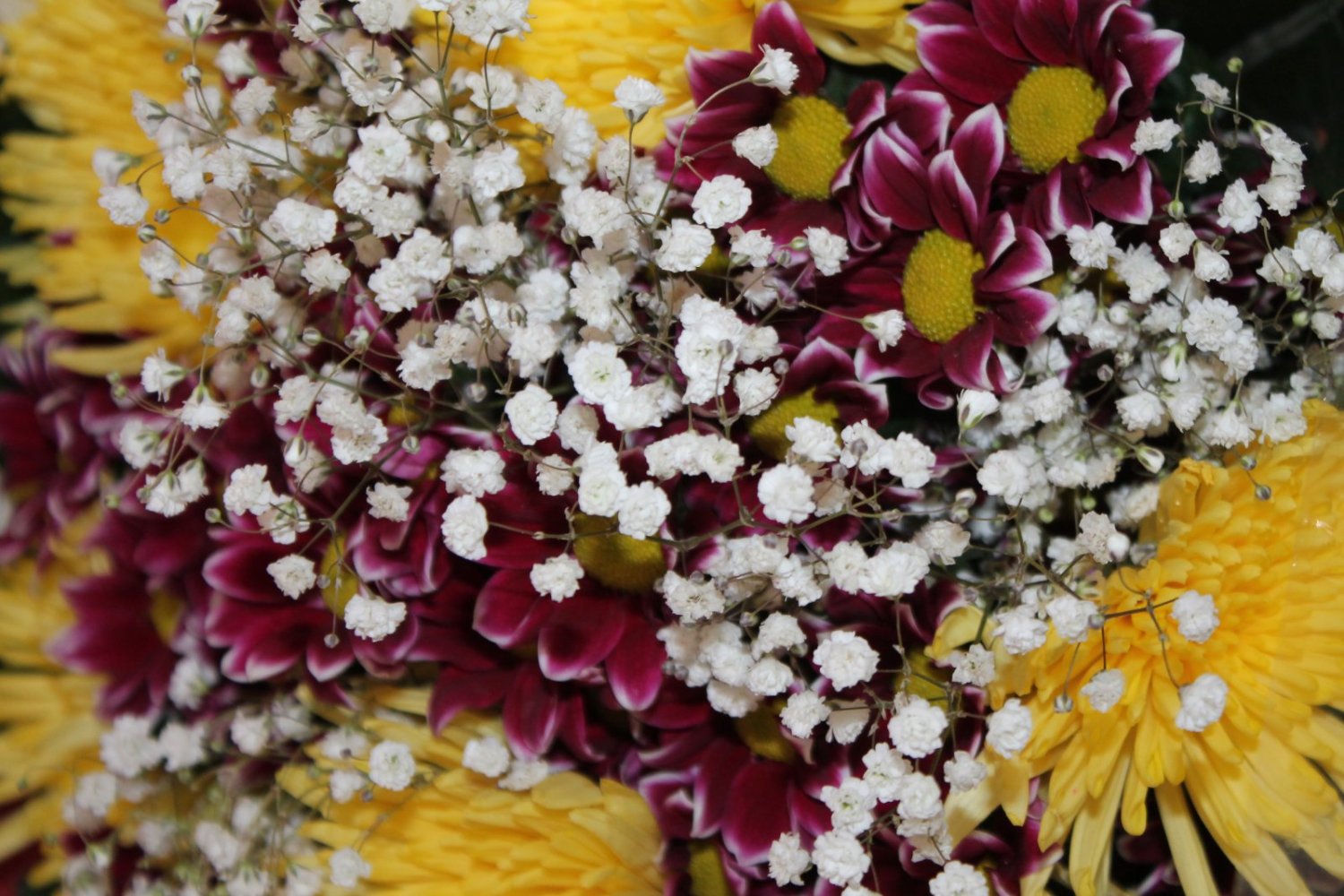 Фото&nbsp;Ведущий (тамада) диджей : 