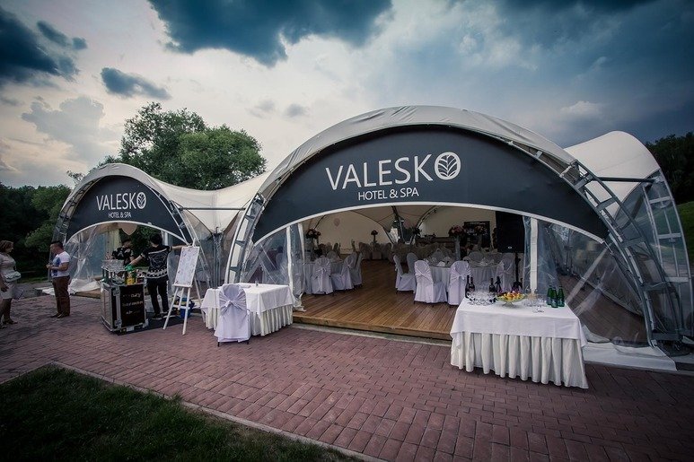 2 июля. Юля и Саша. Свадьба на природе.&nbsp;Свадебный распорядитель  Мария Захарова (Арт -Невеста) : 