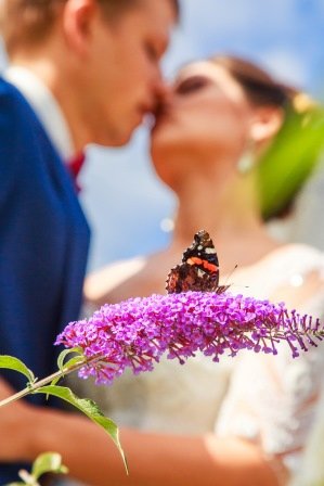 Свадьбы&nbsp;Megapolis Agency : 