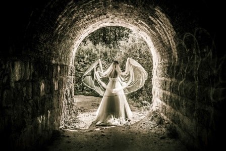 Свадьбы&nbsp;Megapolis Agency : 