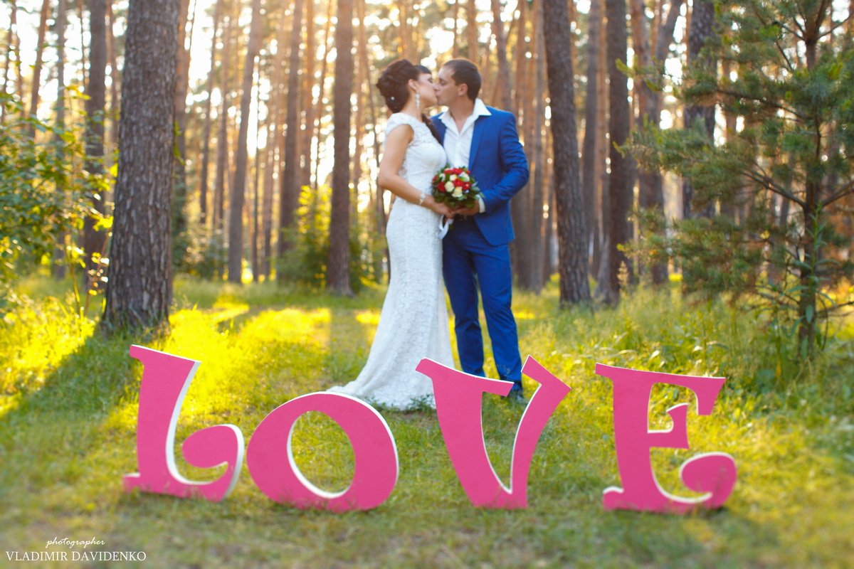 Свадьба&nbsp;Фотограф Владимир Давиденко : 