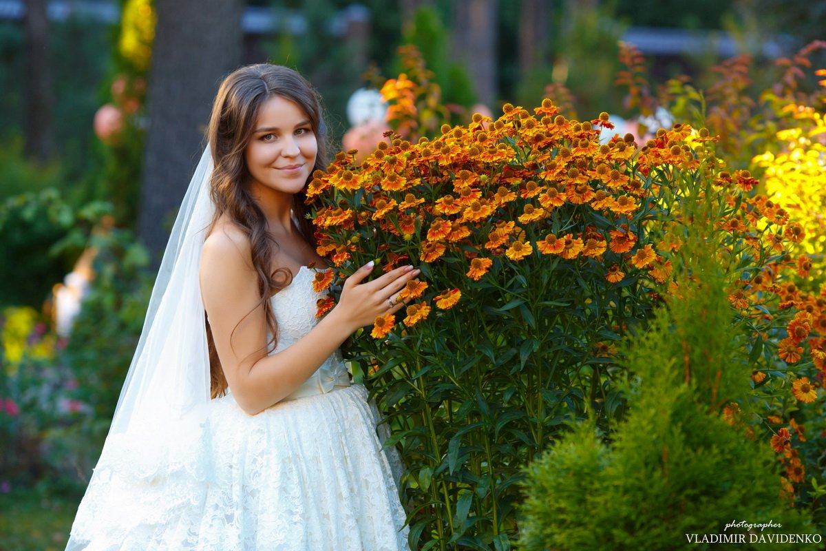 Свадьба&nbsp;Фотограф Владимир Давиденко : 