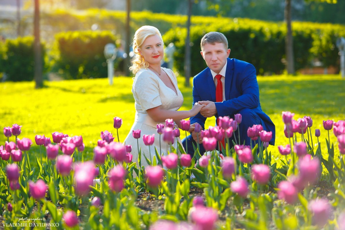 Свадьба&nbsp;Фотограф Владимир Давиденко : 