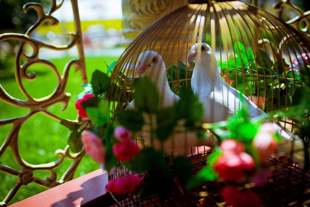 Наши работы&nbsp;Студия креатива "Счастье есть!" : 