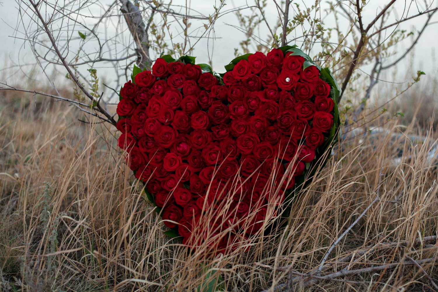 Наши работы&nbsp;Студия креатива "Счастье есть!" : 