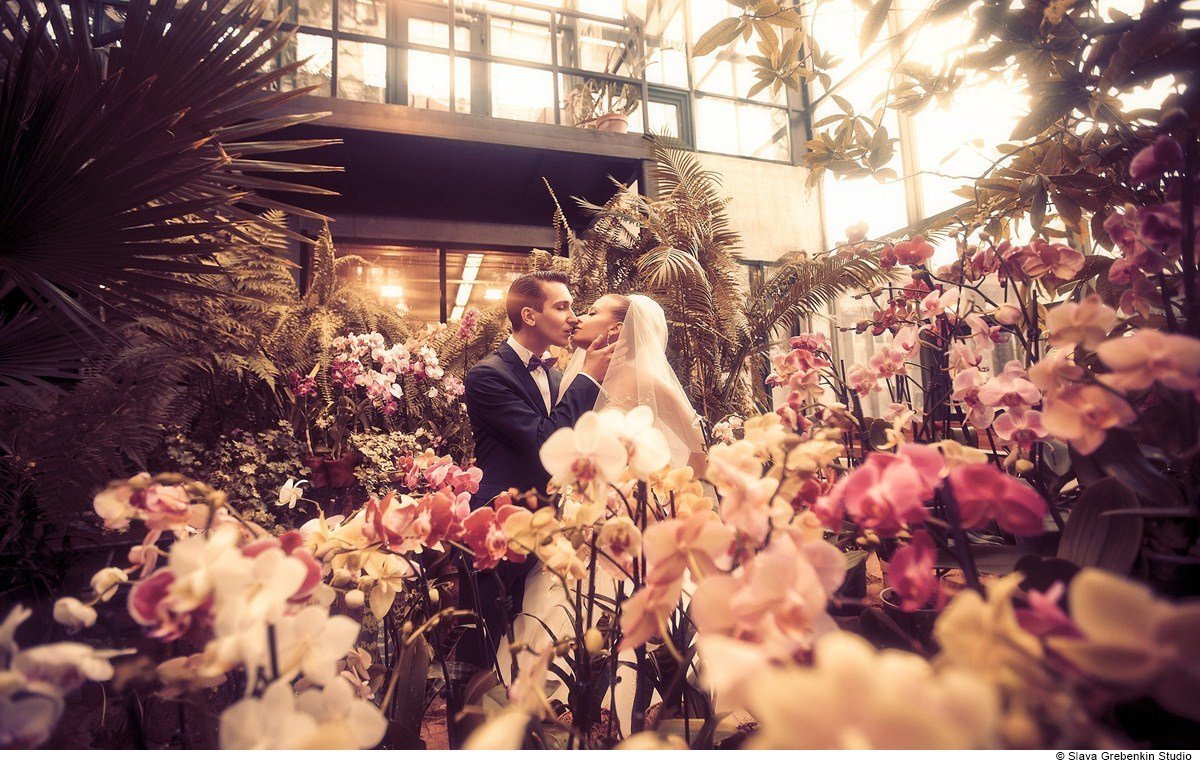 Свадебные фотографии&nbsp;Слава Гребёнкин : 