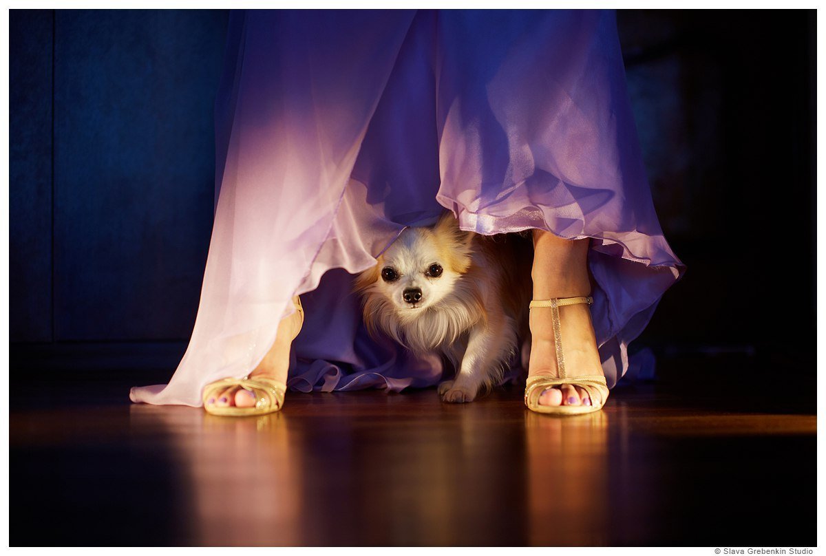 Свадебные фотографии&nbsp;Слава Гребёнкин : 