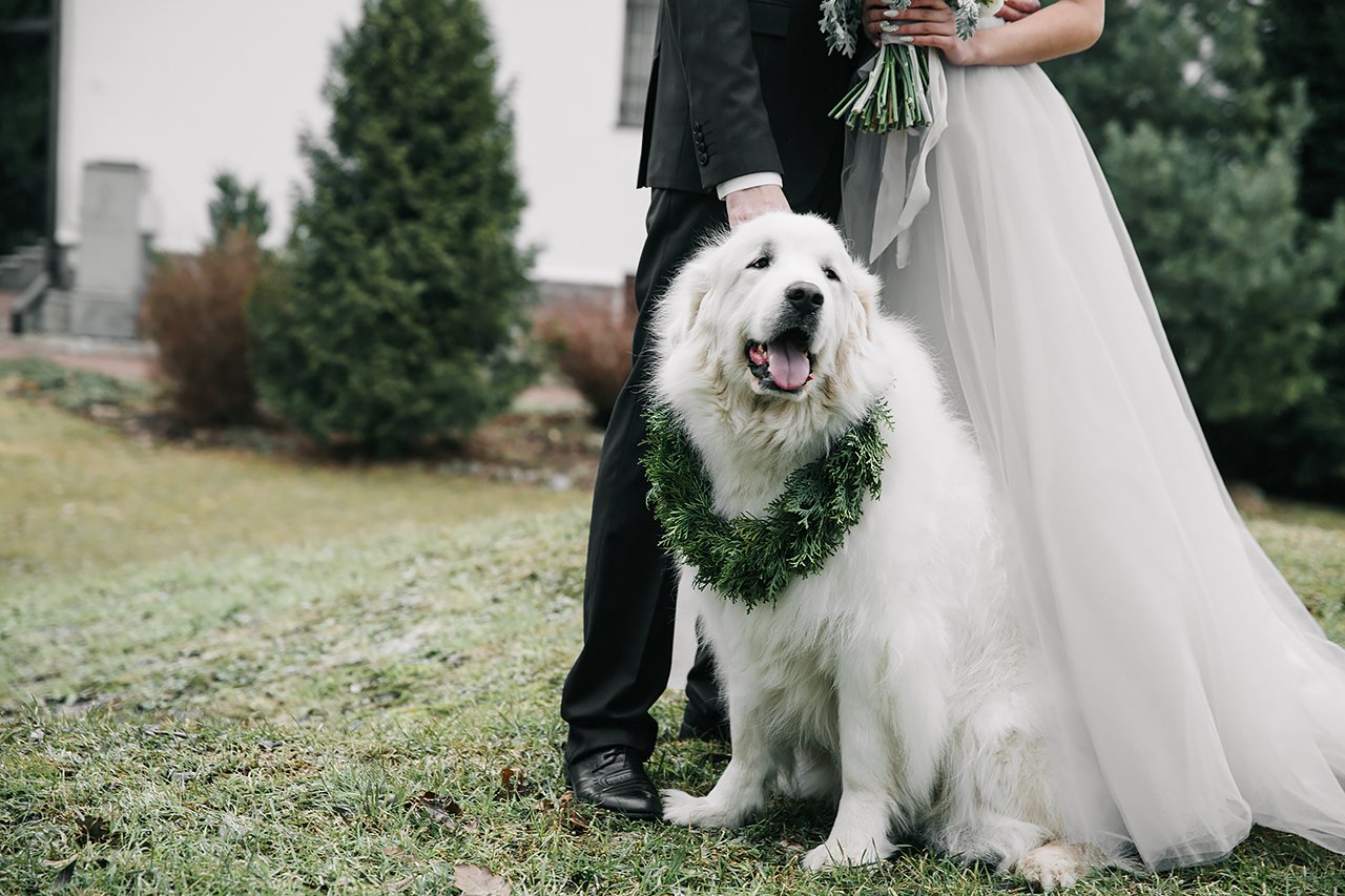 Be bride story&nbsp;Свадебное агентство Be bride : 