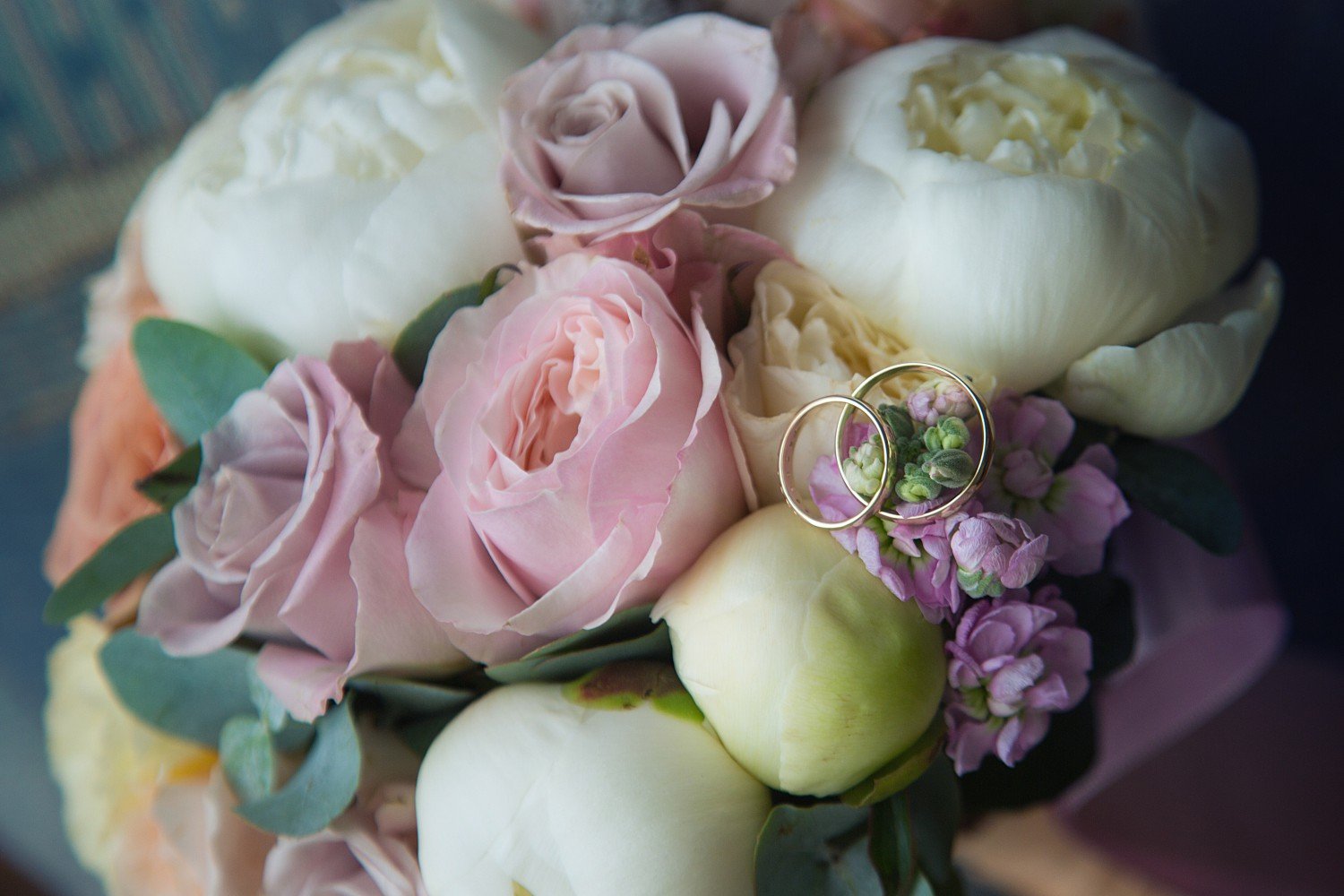 Свадебный фотограф в Одинцово&nbsp;Свадебный фотограф в Одинцово : 