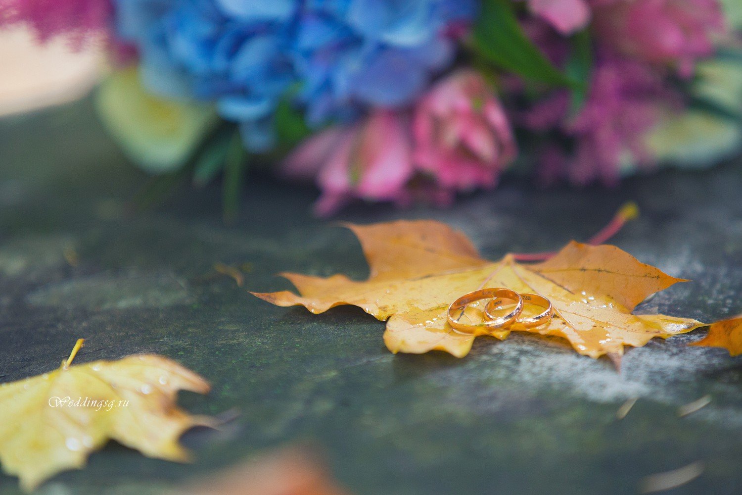 Свадебный фотограф в Одинцово&nbsp;Свадебный фотограф в Одинцово : 