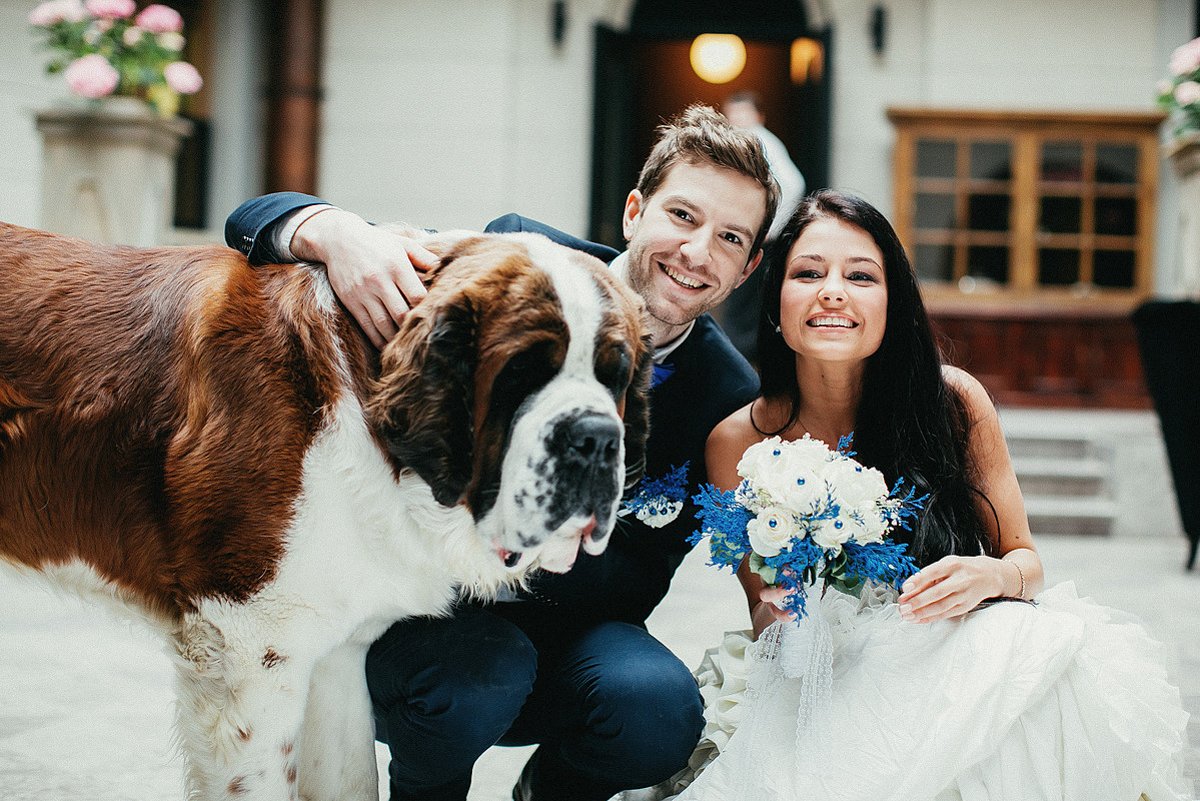 Портфолио&nbsp;Andyvoxstudio : 