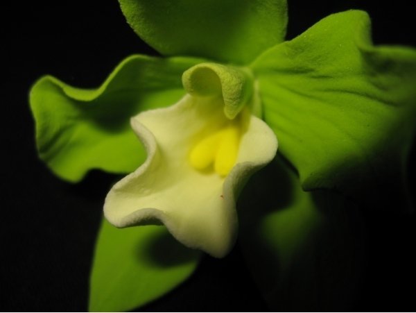 Аксессуары для невесты&nbsp;Свадебный интернет-магазин Moscow-Wedding : 