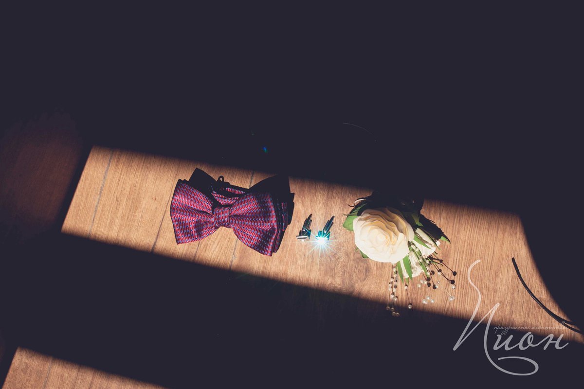 Свадьба в Артиленде Андрея и Кристины, 2 день&nbsp;Праздничное агентство ПИОН : 