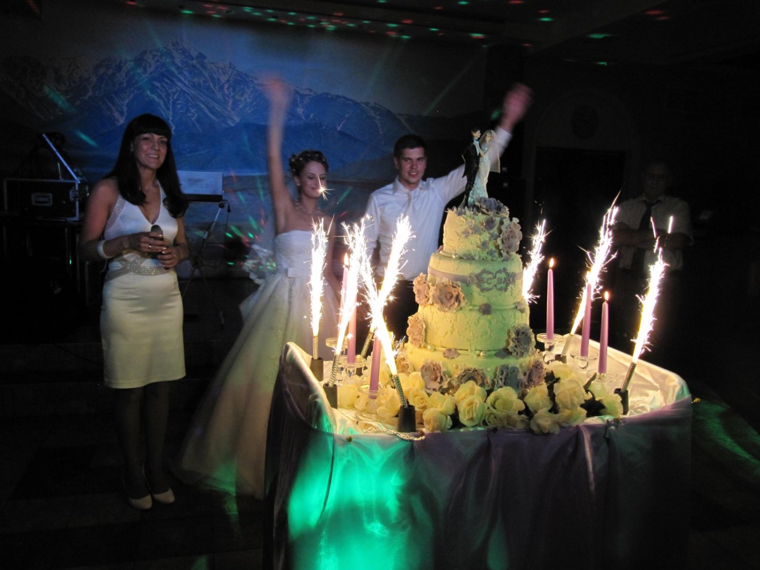 Свадьба Виктории и Серегя. 16.08.2014&nbsp;Поющая ведущая - Ирина Ксантос, певец-dj : 