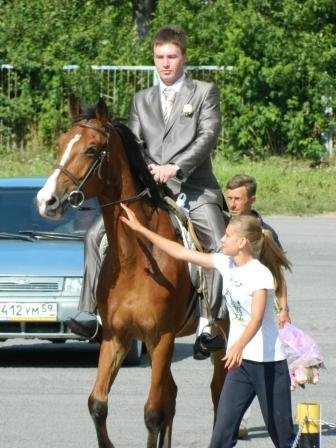 Свадьба с агентством "Карамеля"&nbsp;Праздничное агентство Карамеля : 