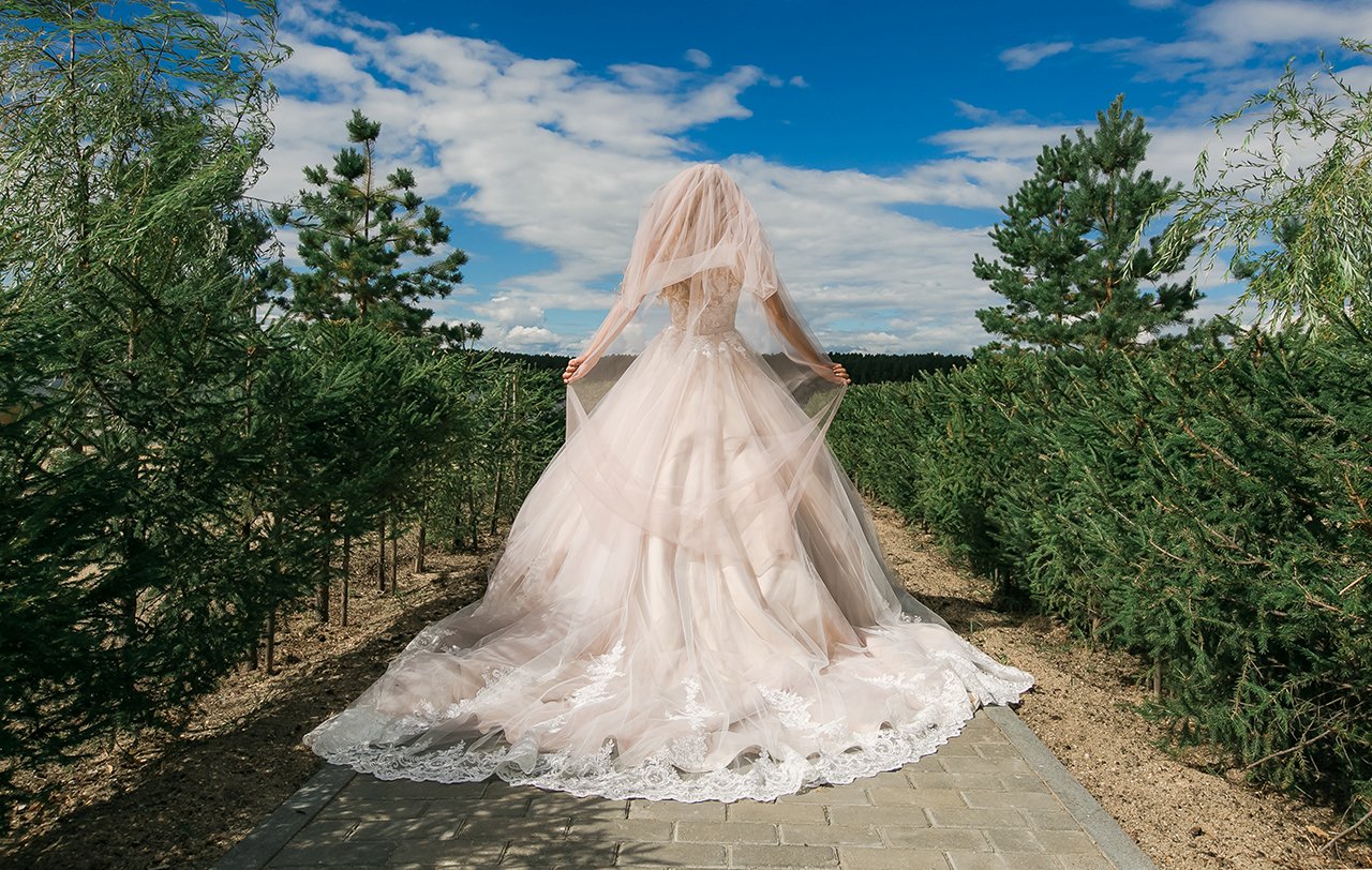 Валерия и Никита&nbsp;Фотограф Дмитрий Притула : 