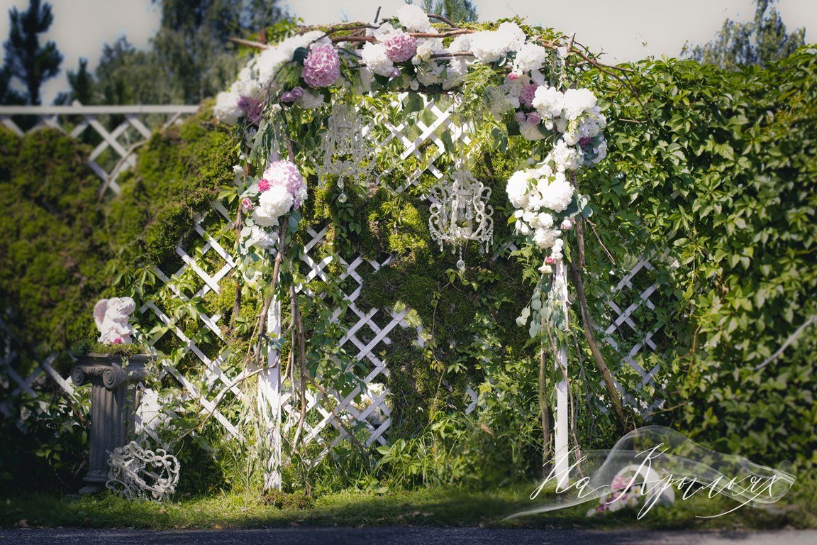 Свадьба в шатре&nbsp;Шатры22 : 