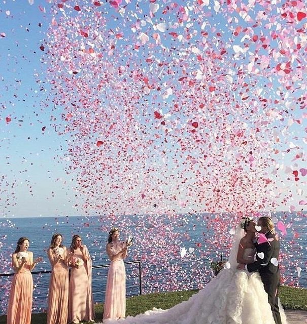 Свадебые услуги&nbsp;Станислав Мизев : 