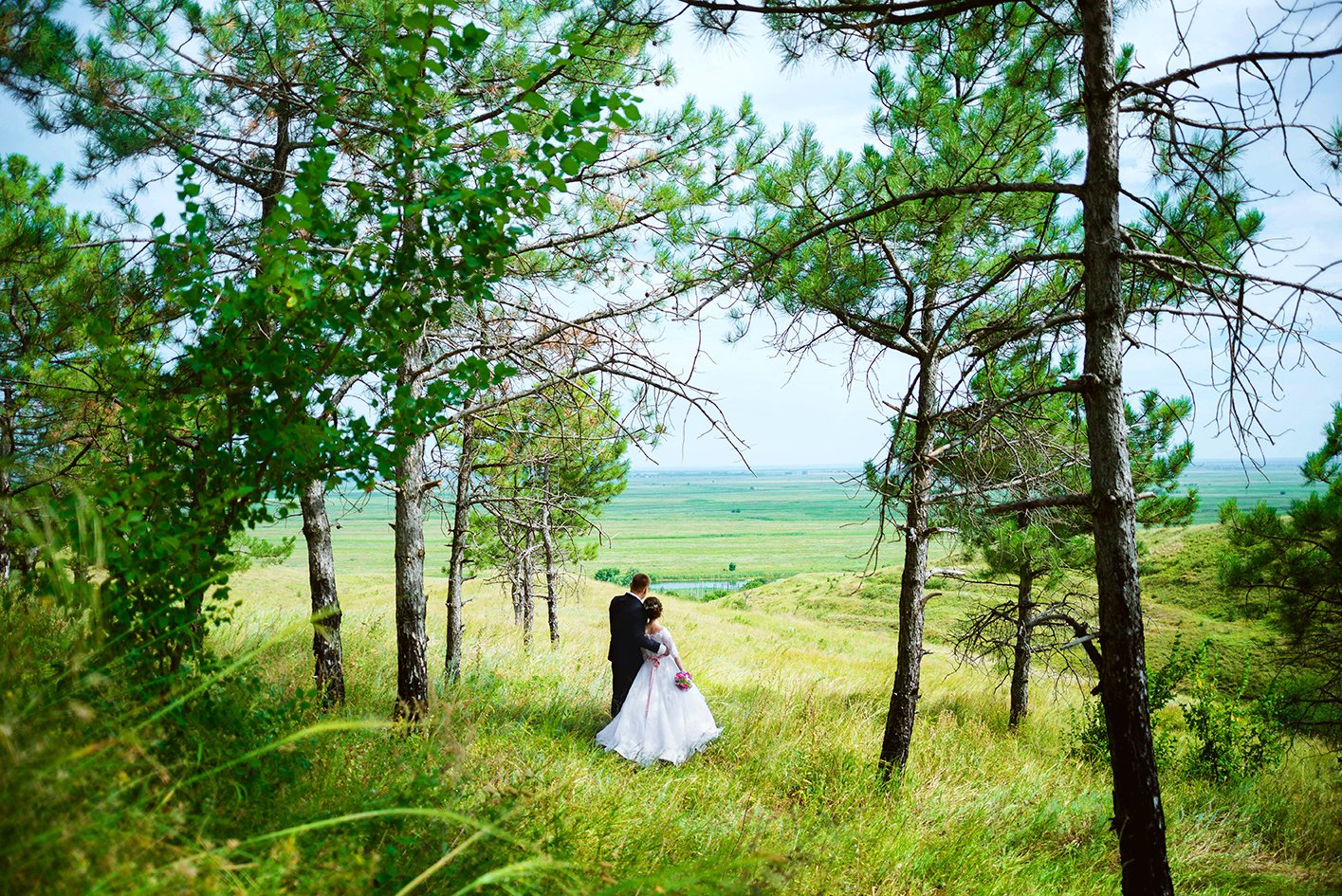 свадебное портфолио&nbsp;Фотограф Елена Сторожок : 