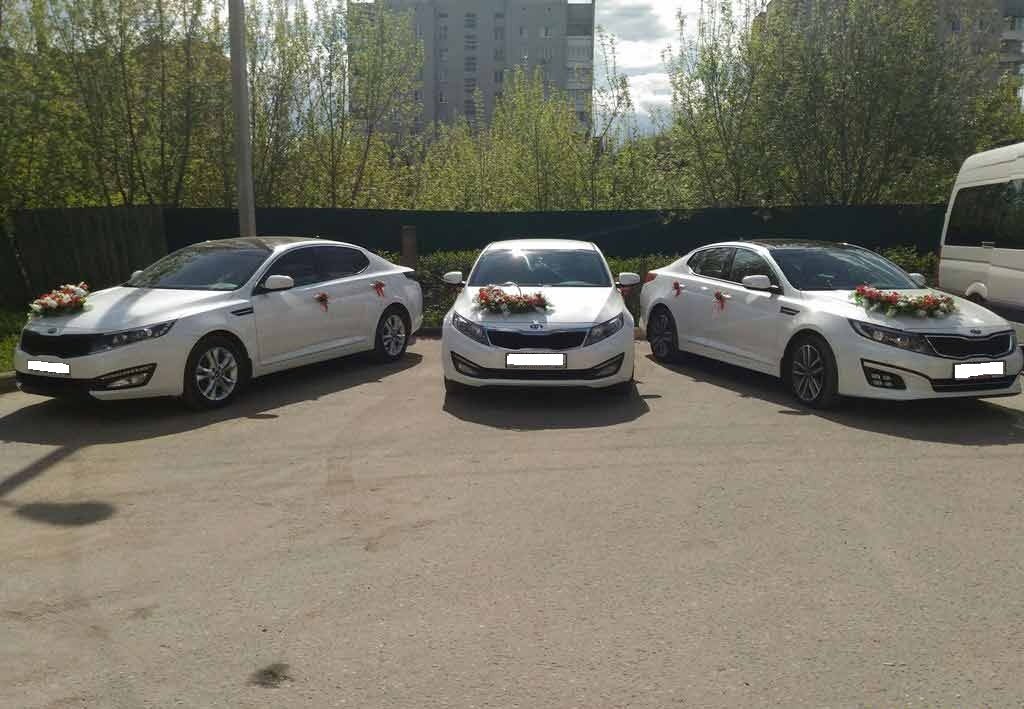 Прокат авто любого класса&nbsp;Олимп : 