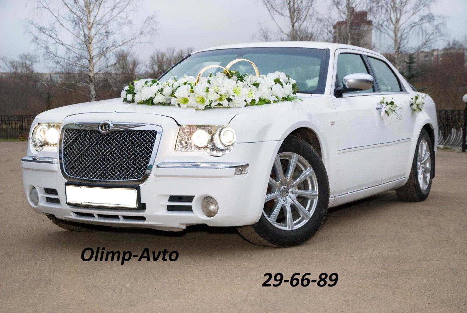 Прокат авто любого класса&nbsp;Олимп : 