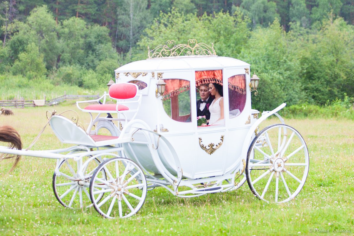 Ваш организатор Александра Елизарова&nbsp;Александра Елизарова : 