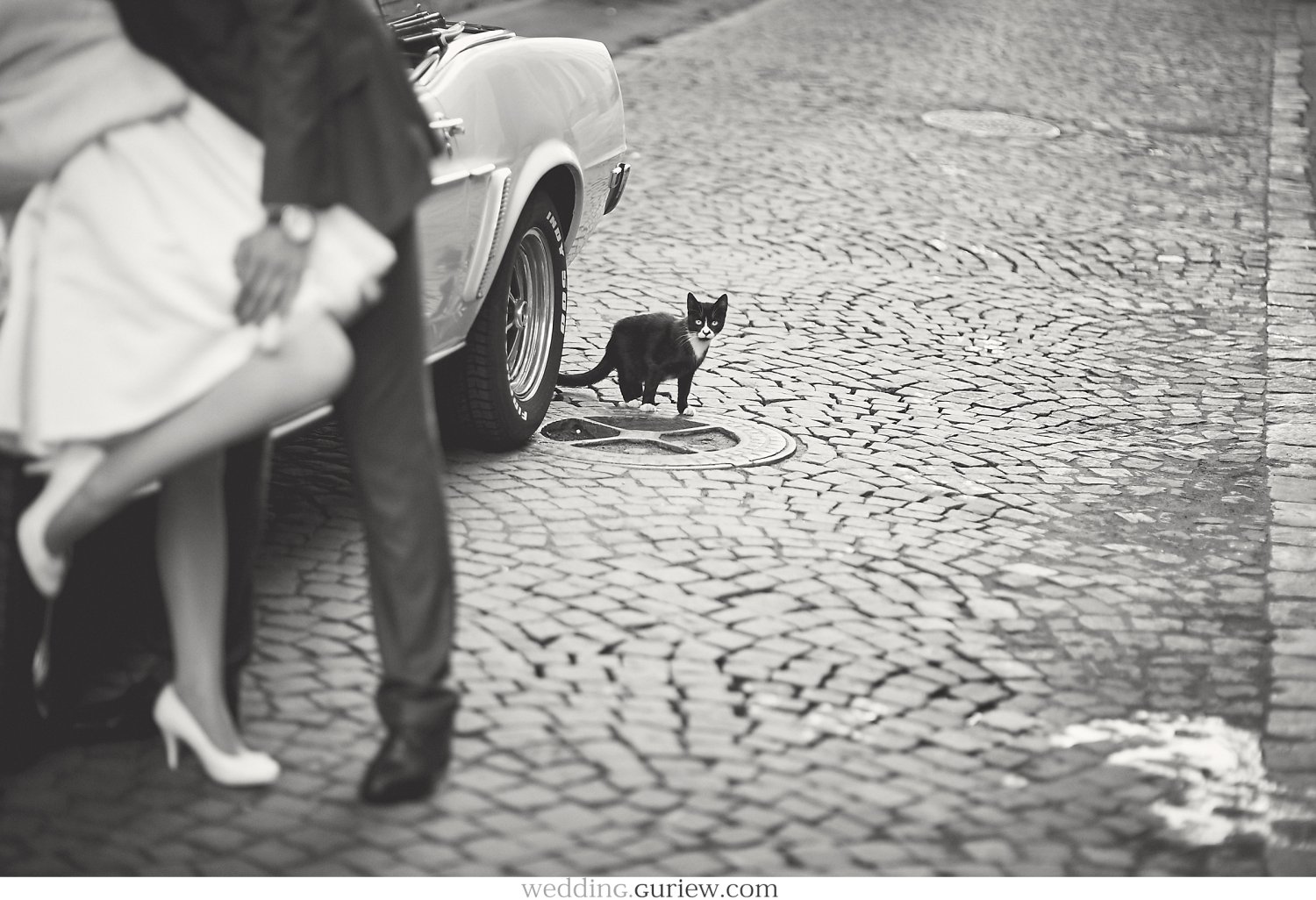 Портфолио&nbsp;Свадебный фотограф Андрей Гурьев : 