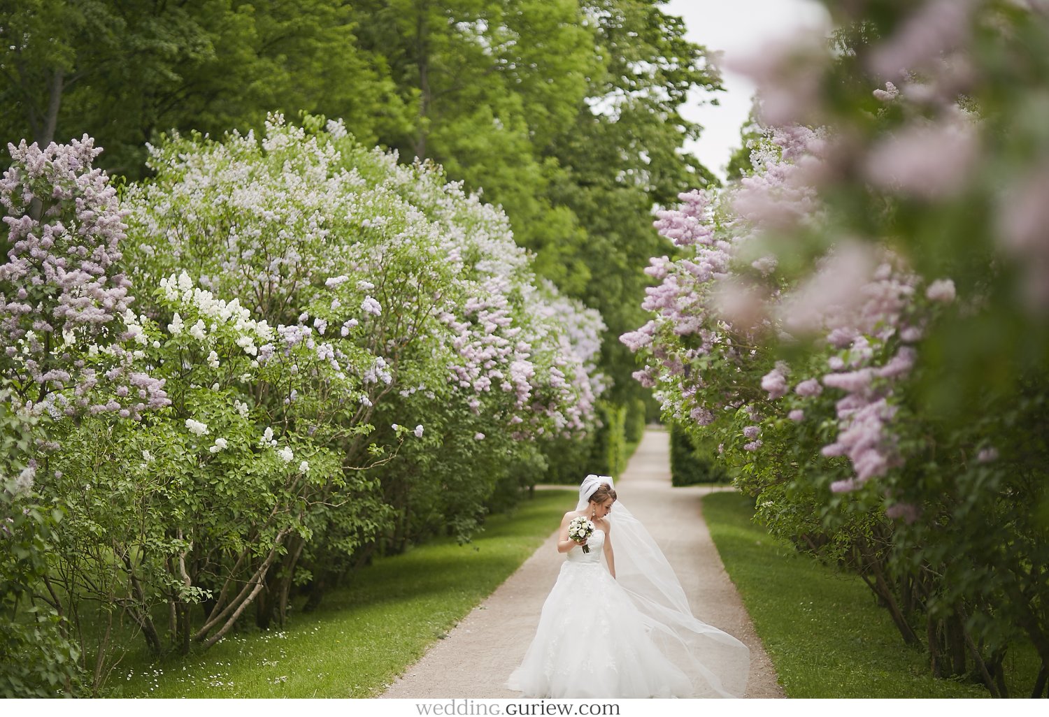 Портфолио&nbsp;Свадебный фотограф Андрей Гурьев : 