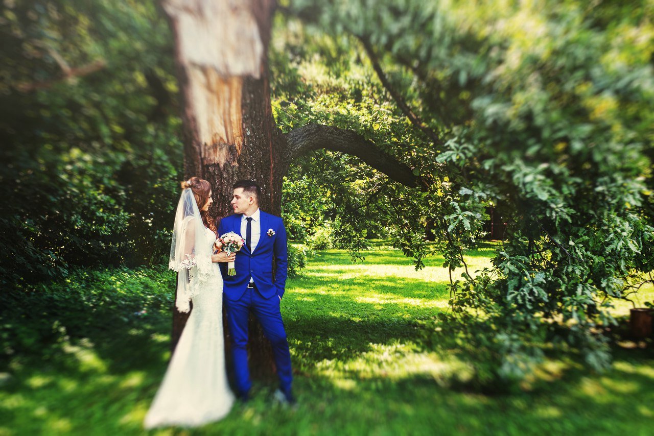 Свадебные&nbsp;Фотограф Владимир Будков : 