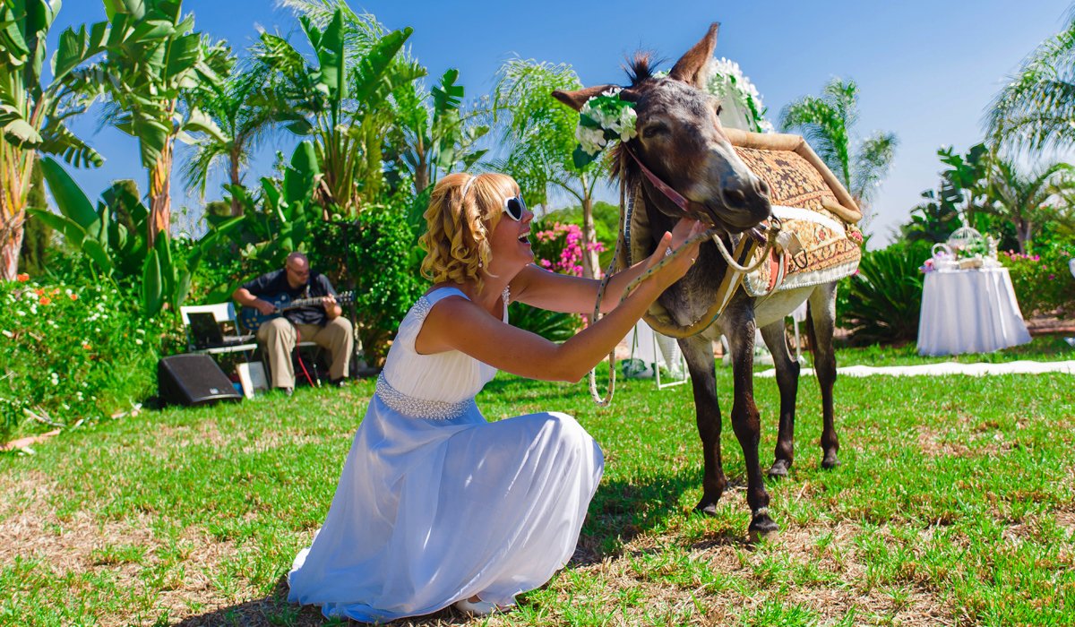 ПОРТФОЛИО&nbsp;Свадьба на Кипре Special Moments : 