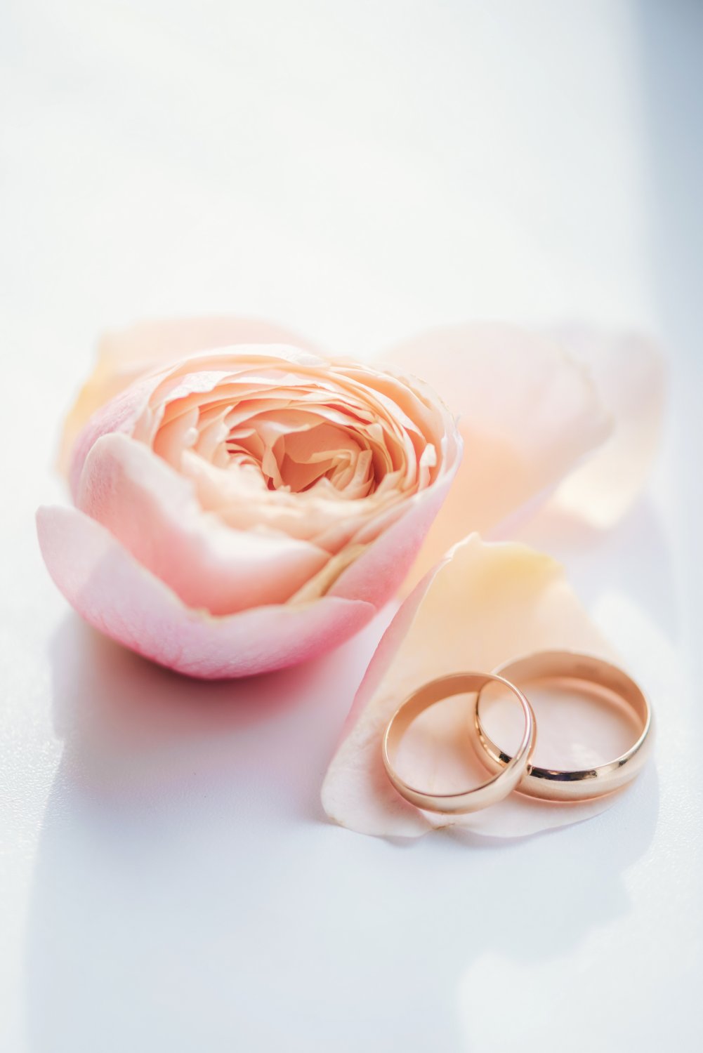 Портфолио&nbsp;Наталия Малова : 